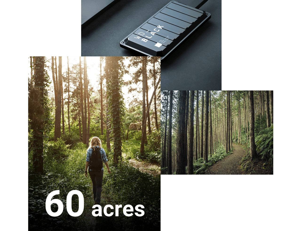 60 acres of trees saved